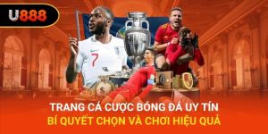 Trang Cá Cược Bóng Đá Uy Tín - Bí Quyết Chọn Và Chơi Hiệu Quả